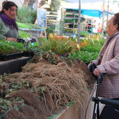 Guillem Fotògrafs - Esdeveniments